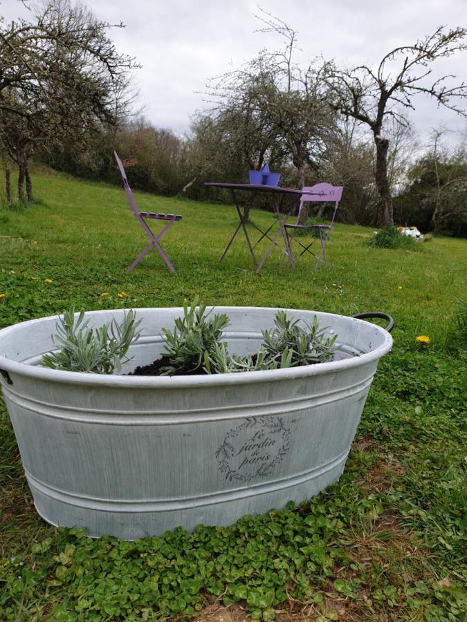 Domaine Mon Doux Reve Panzió Terrasson Kültér fotó