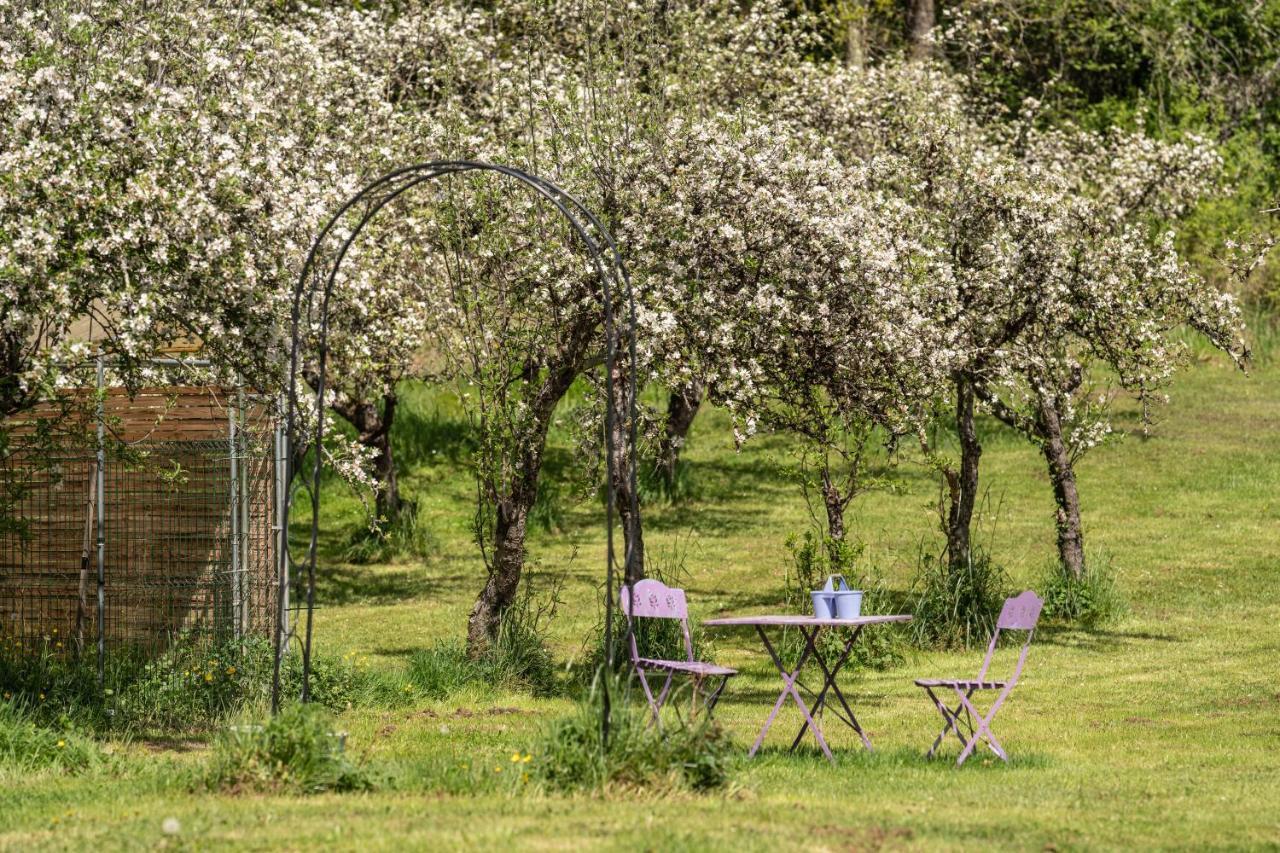 Domaine Mon Doux Reve Panzió Terrasson Kültér fotó